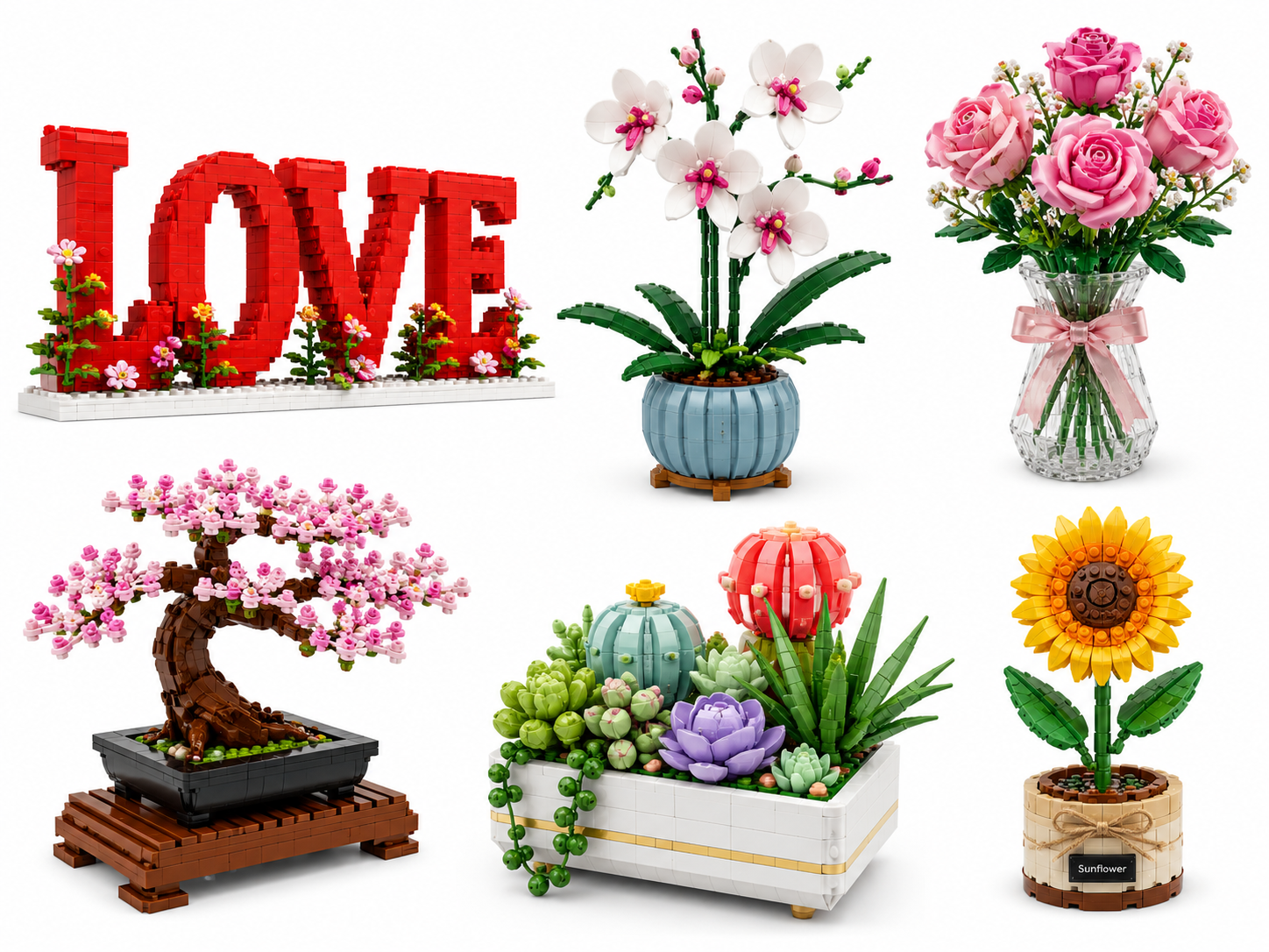 Plantas y Decoracion