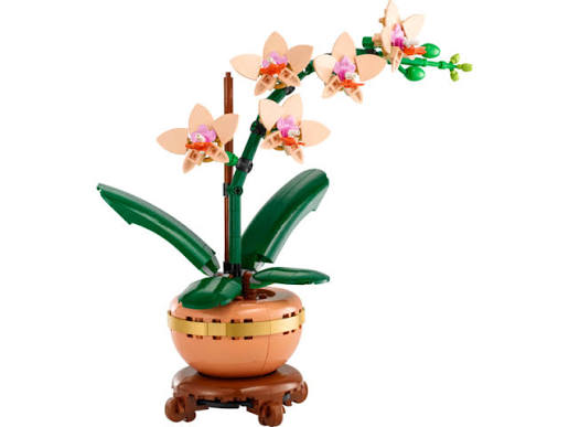 Decoracion