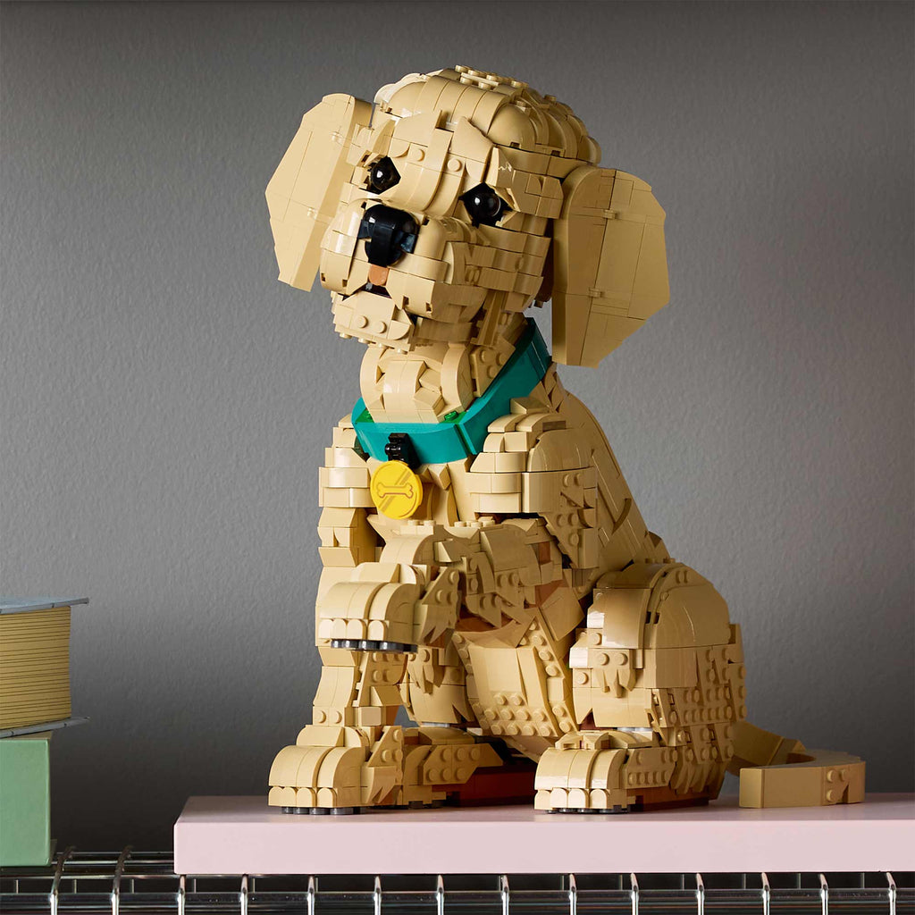 Golden Retriever