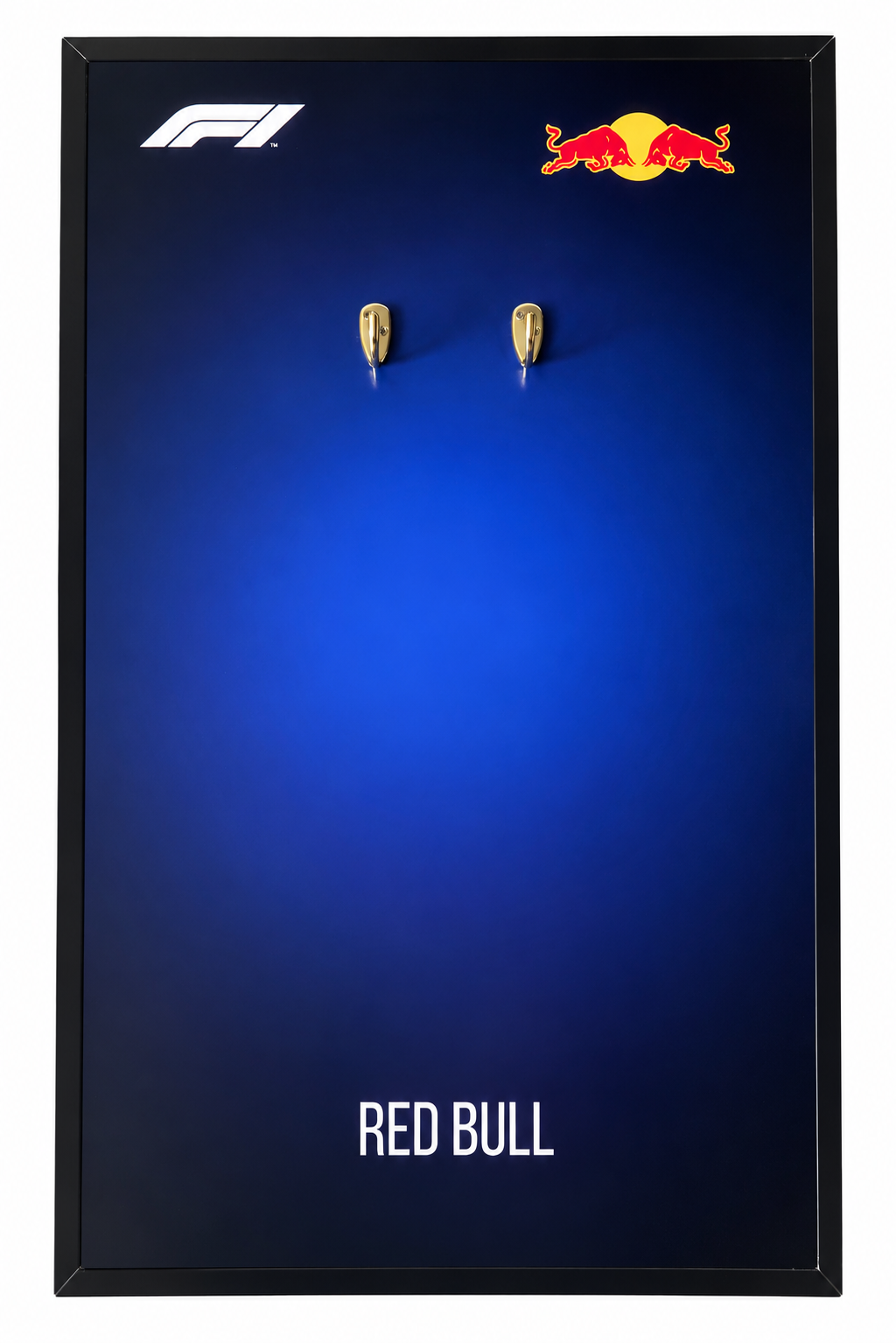 Cuadro F1 RedBull